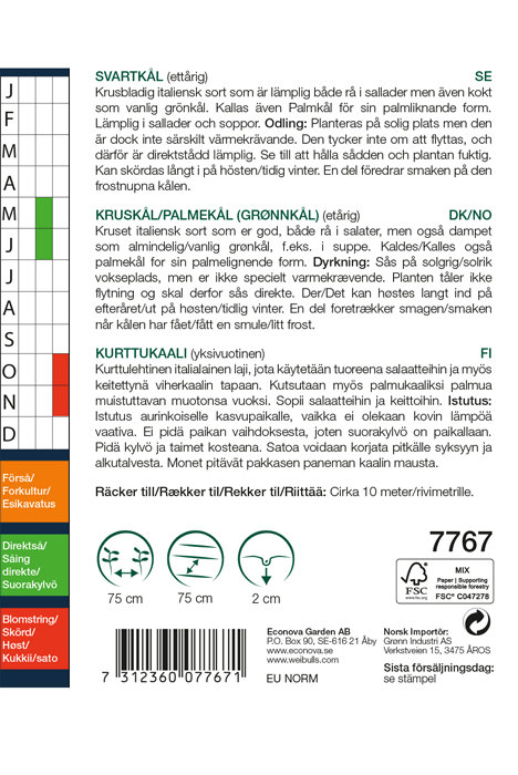 Kruskål/palmekål 'Nero di Toscana'